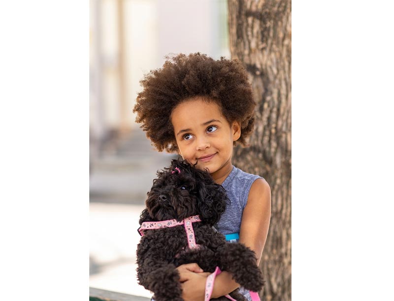 Poodle lông màu đen rất yêu mến và quấn quýt với trẻ em